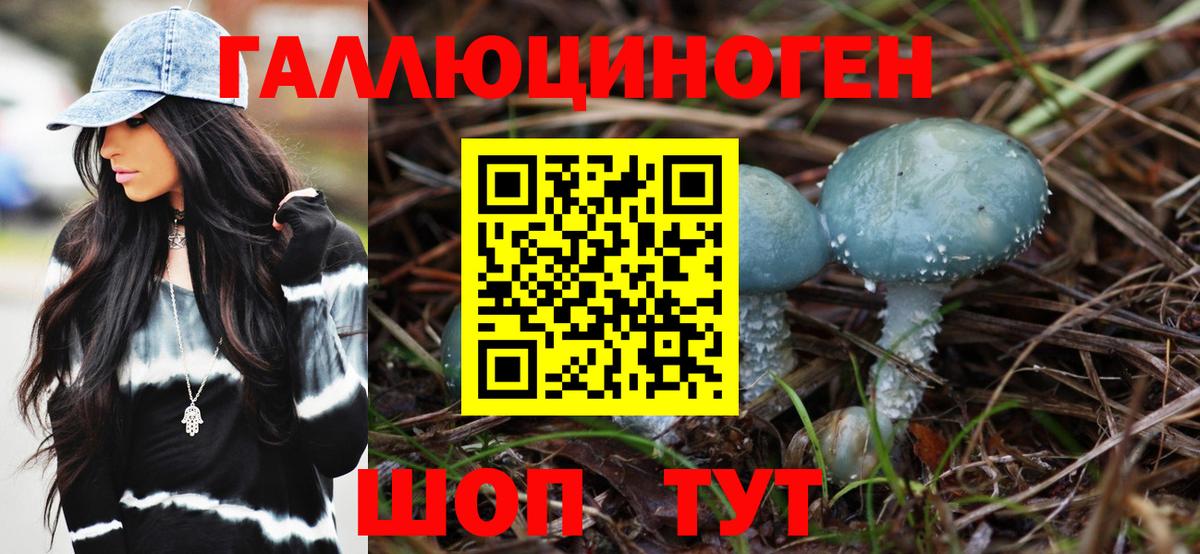 Галлюциногенные грибы Psilocybine cubensis Ржев