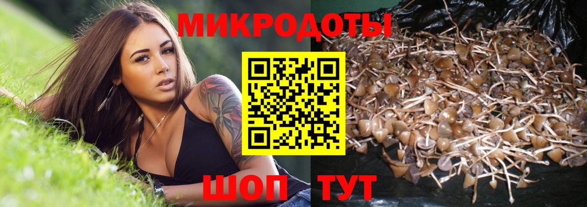 Ржев  наркошоп  Вход с VPN  Галлюциногенные грибы MAGIC MUSHROOMS 
